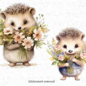 May include: Two watercolor illustrations of hedgehogs holding bouquets of flowers. The hedgehog on the left is holding a bouquet of peach and yellow flowers. The hedgehog on the right is holding a bouquet of pink, purple, and blue flowers.