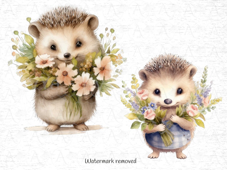 May include: Two watercolor illustrations of hedgehogs holding bouquets of flowers. The hedgehog on the left is holding a bouquet of peach and yellow flowers. The hedgehog on the right is holding a bouquet of pink, purple, and blue flowers.