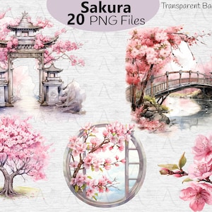 Clipart Sakura Flor de cerejeira rosa Clipart floral, campo, jardim, florescendo, clipart, PNG japonês, aquarela digital floral