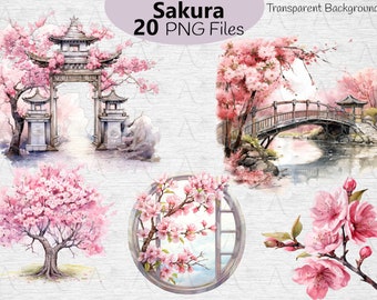 Sakura Clipart: Pink Cherry Blossom, Watercolor Floral PNG (Digital Download)
