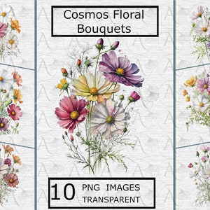 Cosmos Bouquet Clipart - 10 fundo transparente PNG, flor, sublimação, cartão, impressão, convites, download instantâneo - uso comercial
