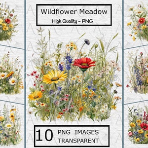 Prado Wildflower Clipart - 10 fundo transparente PNG para sublimação, impressão digital, download instantâneo - uso comercial