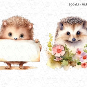 May include: Two watercolor illustrations of hedgehogs. One hedgehog is holding a blank sign and the other is surrounded by pink and purple flowers.