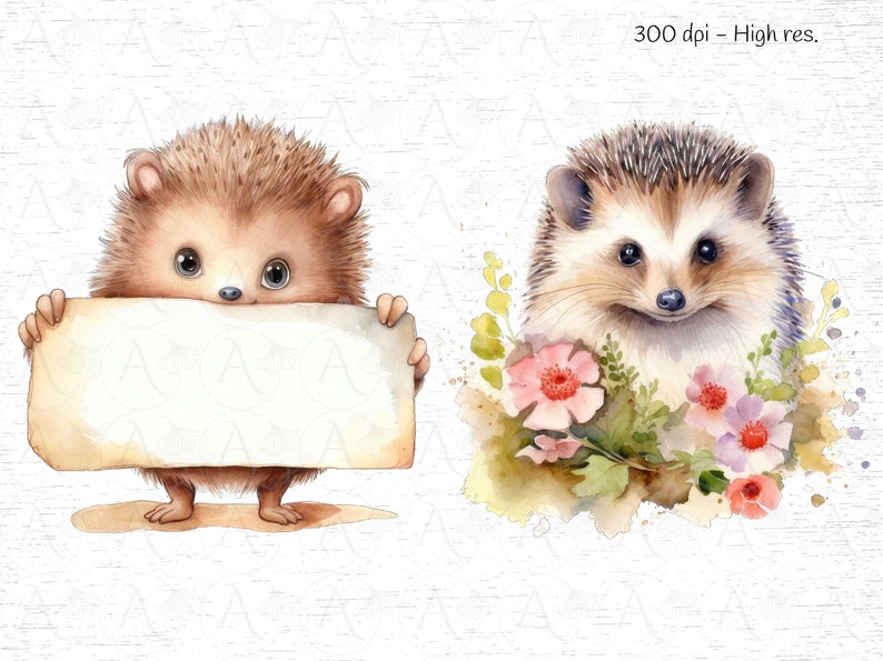 May include: Two watercolor illustrations of hedgehogs. One hedgehog is holding a blank sign and the other is surrounded by pink and purple flowers.