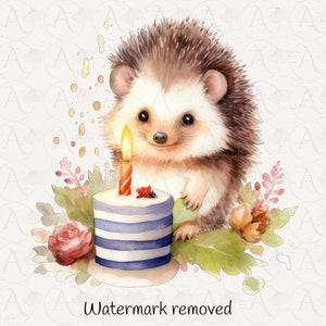 May include: A watercolor illustration of a hedgehog with a happy expression, standing next to a blue and white striped birthday cake with a lit candle. The cake is decorated with red berries and surrounded by green leaves and pink flowers.