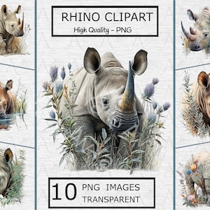 Clipart de rinoceronte e flores - 10 fundos transparentes PNG para sublimação, digital, artesanato, impressão, download instantâneo - uso comercial