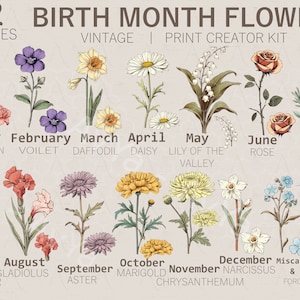 Clipart di fiori per la festa della mamma, PNG antico floreale del mese di nascita, stampa floreale, grafica floreale del mese di nascita fai da te, clipart botanica, vintage
