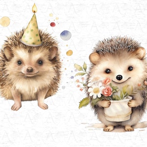 May include: Two watercolor illustrations of hedgehogs. One hedgehog is wearing a green and yellow party hat and the other is holding a pot of flowers.