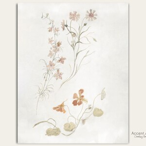 Farmhouse Decor Watercolor Sketch/ Flower Illustration Wall Art/ Botanical Vintage Wall Decor/ Download/ Printable/ Accent Art Studios BOT04