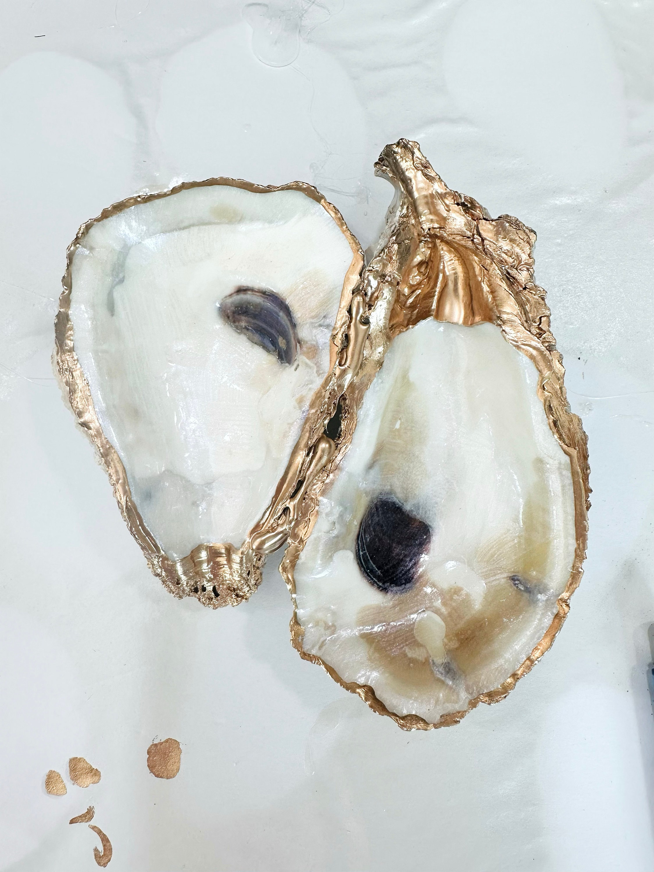 OysterShell double trinket  pinch bowl gilded edge shell shower hostess gift wedding cooks kitchen decor natural coastal beach wedding gift