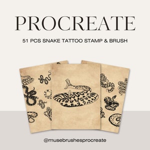 Op de afbeelding: Drie digitale illustraties van slangen op een vintage-achtige perkament achtergrond. De illustraties zijn zwart-wit en tonen verschillende slanghoudingen. De tekst "PROCREATE" en "51 PCS SNAKE TATTOO STAMP & BRUSH" staat bovenaan de afbeelding. De tekst "@musebrushesprocreate" staat onderaan de afbeelding.