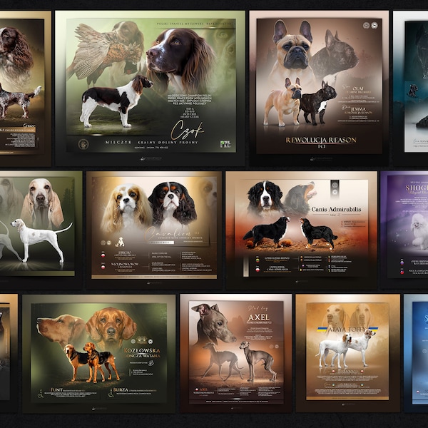 Custom Graphic Designs for breeders |  litter announcement | stud dog | dog presentation