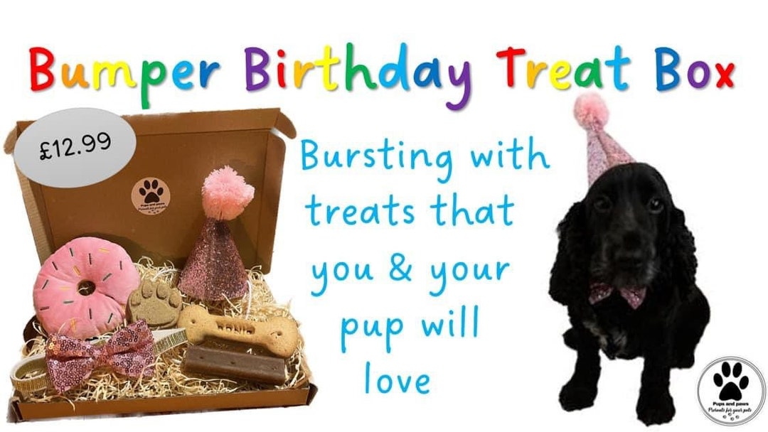 Dog Birthday Treat Box Letter Box Gift Etsy