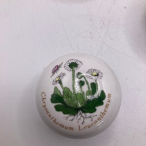 May include: White ceramic knob with a floral design featuring a white daisy with green leaves and a brown stem. The knob has the text "Chrysanthemum Leucanthemum" written around the edge.