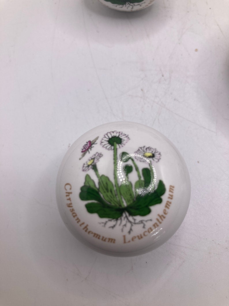 May include: White ceramic knob with a floral design featuring a white daisy with green leaves and a brown stem. The knob has the text "Chrysanthemum Leucanthemum" written around the edge.