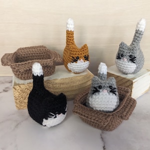 Cheeky Cat in a Box | Handmade Crochet Ginger Tabby Black Cat With or Without Box