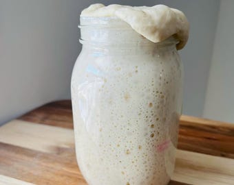 STRONG Healthy & Active, Dehydrated, Organic Sourdough Starter