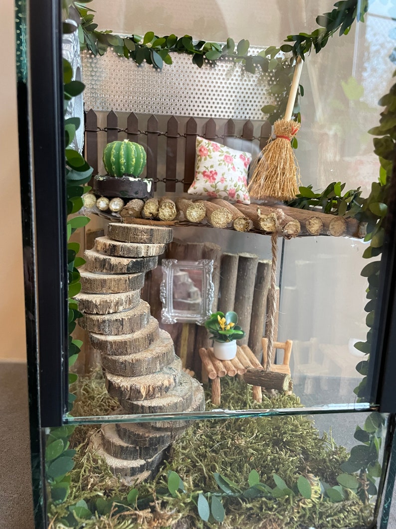 Jumping Spider Terrarium Etsy UK