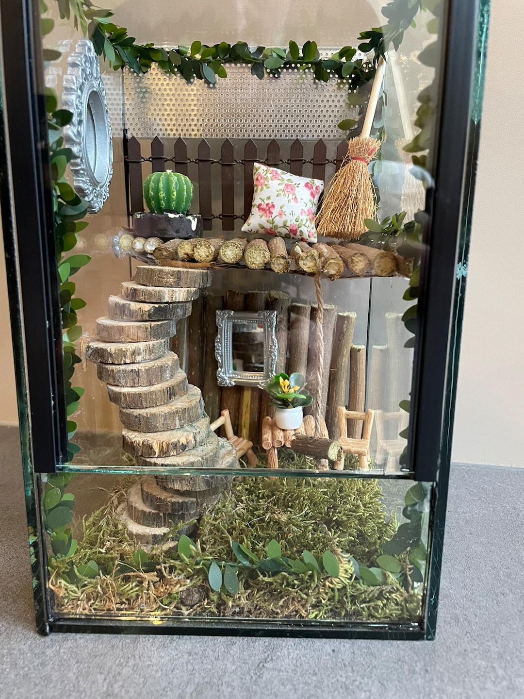 Jumping Spider Terrarium Etsy UK