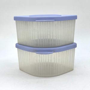 Vintage Tupperware Fresh N Cool Snack Containers Blue Lids Set of 2