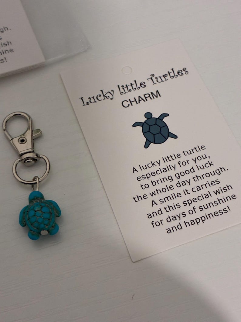 Turtle Keychain, Good Luck Charm, Keepsake Gift - Etsy UK