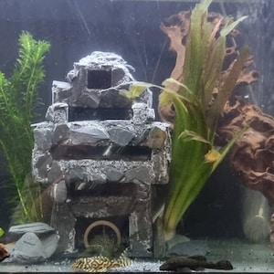 May include: A gray and brown aquarium with a stone structure, green plants, and a brown driftwood piece. A small, striped fish is visible in the bottom of the tank.