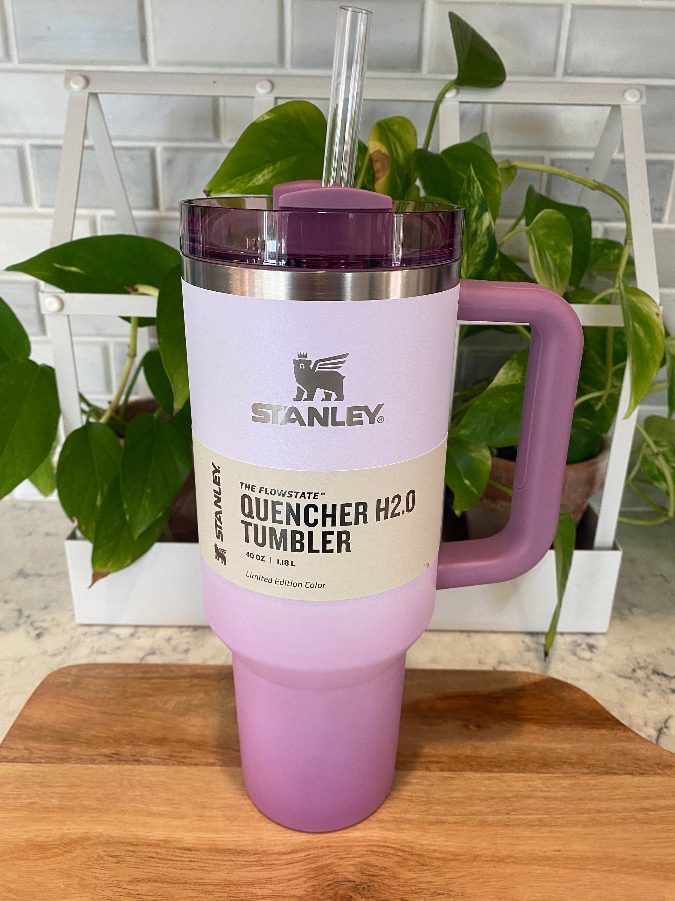 Custom wisteria Ombré Stanley Tumbler 40oz 