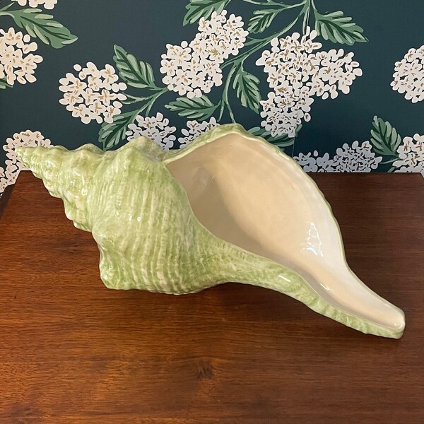 Conch Shell Art Etsy
