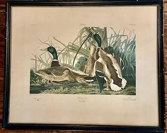 Vintage 20th C. American Craft Print Guild &#39;Mallard Ducks&#39;, After John James Audubon&#39;s &quot;Birds of America.&quot;
