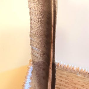 Schreibfeder grau / pink 36 cm lang