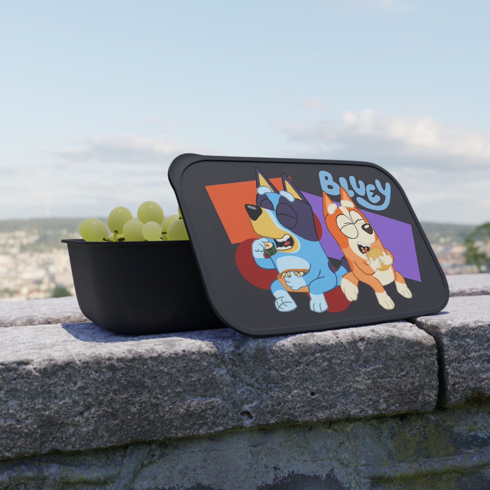 Bluey Bluey Bento Box Bluey Lunch Box Bluey Kids Lunch Box Etsy Canada