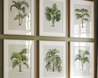 Vintage Palm Tree Print Set: Muted Botanical Art (Digital Download, Set of 6)