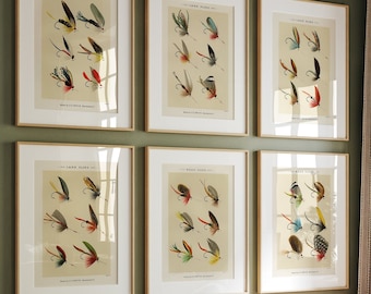 Image Vintage Encadrée - Pêche à La Mouche - Truite, Pêcheur, Plumes Et Cravates