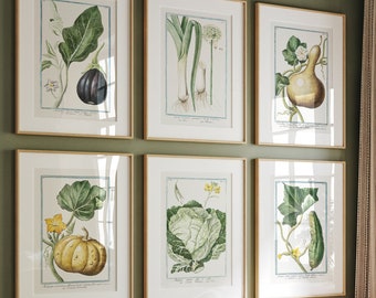 Vintage Botanical Kitchen Print Set: Vegetable Garden Art (Digital Download)