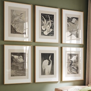 Pode incluir: Seis gravuras de pássaros emolduradas em uma sala de estar. As gravuras apresentam ilustrações em preto e branco de pássaros. As molduras são douradas e a parede é verde. Um sofá de couro marrom e uma mesa redonda de madeira estão em primeiro plano.