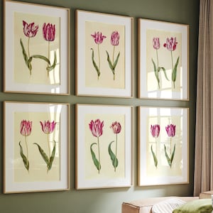 Vintage Tulip Print Set: Botanical Wall Art (Digital Download)