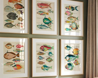 Vintage Fish Prints: Marine Biology Gallery Wall Art (Digital Download)