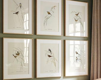 Set of 6 Vintage Birds and Grasses Print Set, Birds in Grass Art Set, Printable Bird Wall Art, Digital Prints, Vintage Bird Art Print Set