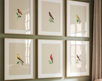 Colorful Vintage Bird Print Set: George Shaw Illustrations (Digital Download)