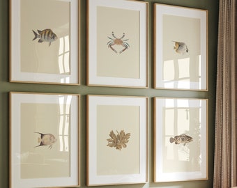 Neutral Fish Prints Gallery Wall Set, 21 Marine Prints, Fish Print Set, Vintage Printable Wall Art, Vintage Marine Biology Art Print Set