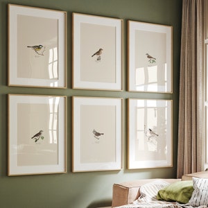 Enchanting Garden Birds Print Set - 6 Vintage Bird Illustrations - Printable Bird Wall Art - Digital Bird Prints for Home Decor - Bird Art