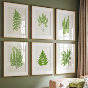 Vintage Farn-Druck-Set, botanische Wandkunst, 6er-Set druckbare Kunst, Statement-Wandkunst, druckbare Farne, botanische Galeriewand, botanisch