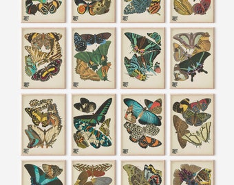 16 Vintage Art prints, Butterfly Wall Art, Vintage Print Set, Statement Wall Art, Printable Art, Butterfly Gallery Wall, Earth Tones Prints