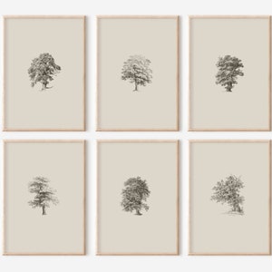 Neutral Sketch Print Set, British Tree Art, Rustic Sketch Art, Art for Office, Chic Tree Art, Farmhouse Style Print Set, Tree Gallery Wall