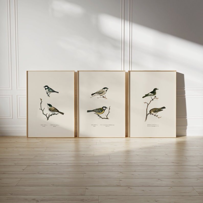 Vintage Bird Print Set: Gallery Wall Art (digital Prints) - Etsy