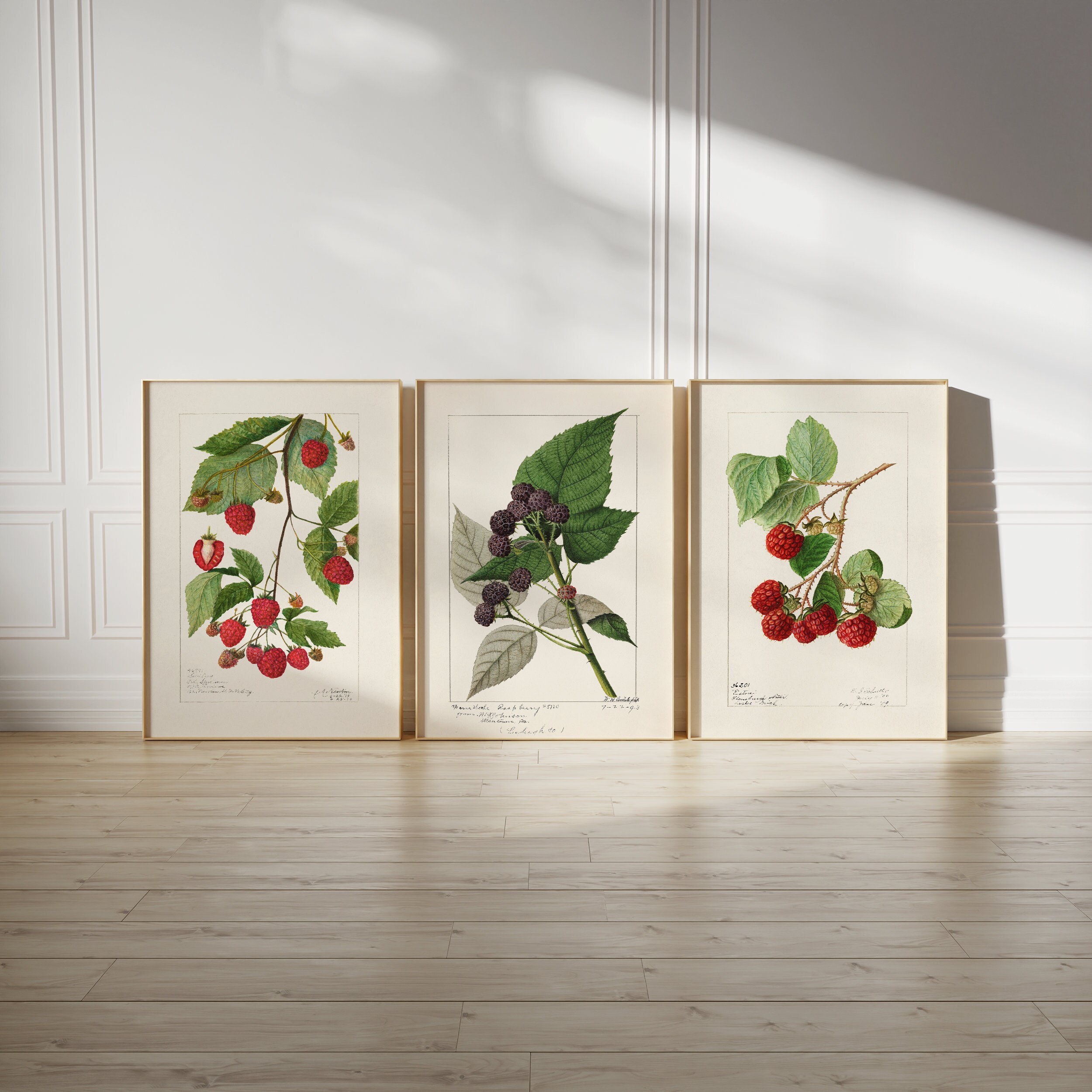 Vintage Berry Botanical Print Set: English Cottage Gallery Wall ...