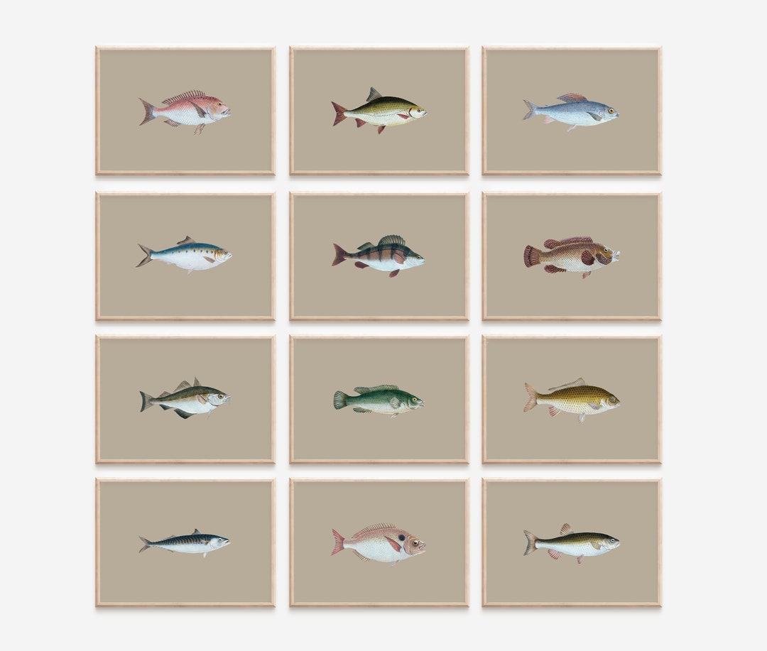 Fish Neutral Neutral Fish Prints: British Fish Breeds Watercolor Art (digital ...