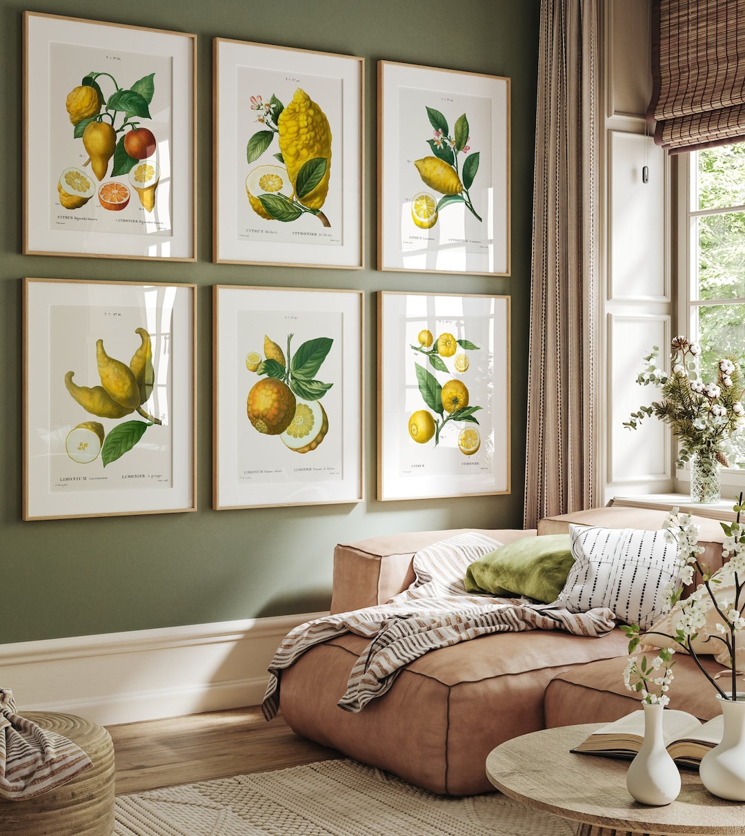 Vintage Citrus Kitchen Print Set: Botanical Lemon Wall Art