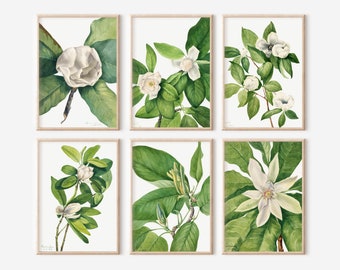 Vintage Floral Print Set, Green Botanical Wall Art, Set of 6 Printable Art Set, Statement Wall Art, Vintage Art, Botanical Gallery Wall