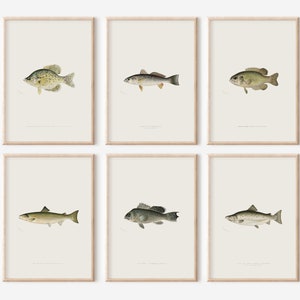 6 Fish Prints, Neutral Fish Prints Set, Marine Print Set, Vintage Printable Wall Art, Vintage Marine Biology Art Print Set, American Fish